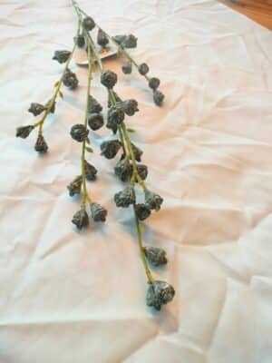 Eucalyptus pods spray bleu 80cm